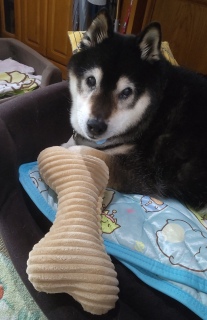 いってらっしゃーい A