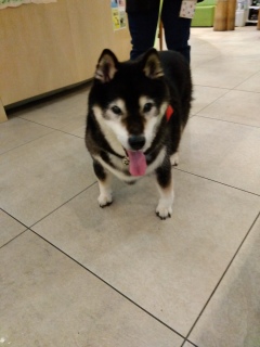 6月9日 新守山の救急病院にてたいたことなくてよかった