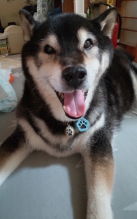 6月29日 嬉しそうにしている