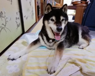 7/18 ߌォԈ֎q̃tBbeBO