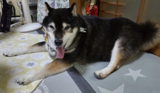 7月19日 シャンプをしてスッキリです