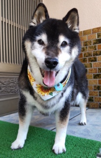 8月2日 最高の笑顔