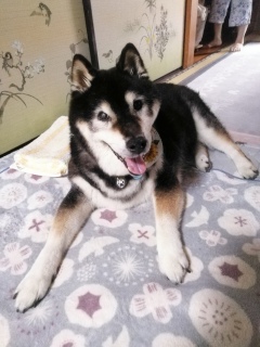 8月17日 15歳10ヶ月と2日 僕は元気です