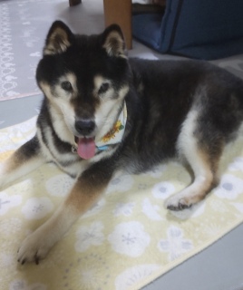 8月19日 ご飯を待っています