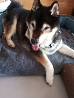 8月21日 さぁこれから何して遊ぶかな