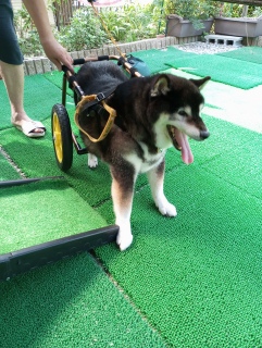 8��25���@�@�Ԉ֎q�̗��K������