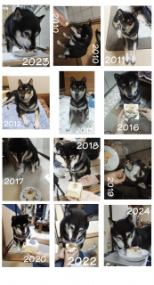 今日は虎次朗くんの16回目のお誕生日でした