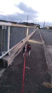 在りし日の虎次朗 2023年の今日