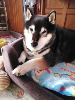 在りし日の虎次朗 1年前の今日