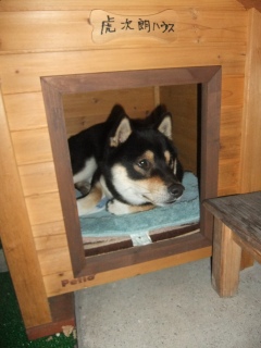 �݂肵���̌Վ��N�@2010�N�̍���