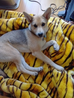 1��21�������T���S�ł�