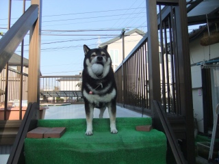 �݂肵���̌Վ��N�@2019�N�̍����@