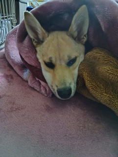 3月10日 寒がりさんごです