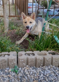 3��19���@�����܂ł����łƁ@��ň�x�݂�