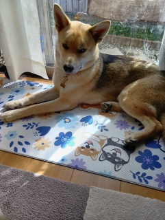 4 ��19���@�����ڂ�������N�����΂���