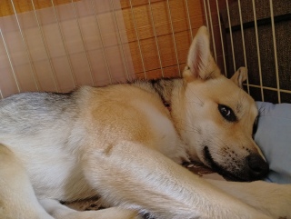 4��18���@������p�ł��� ���Ă���������Ă�