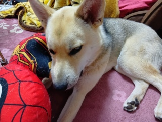 6月7日 お昼過ぎからずっと雨です お外に行けなくて困ってます