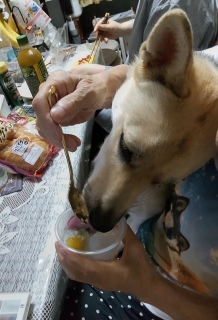 �O��i����j1�΂̒a����